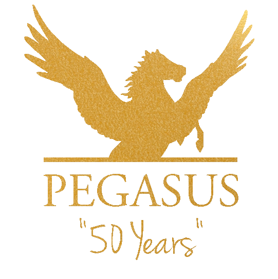pegasus.itsnew.com.au Logo